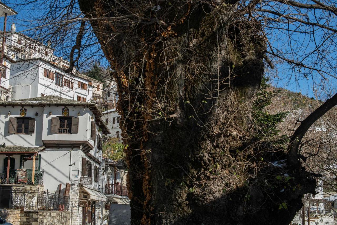 מקריניצה Philos Guesthouse מראה חיצוני תמונה